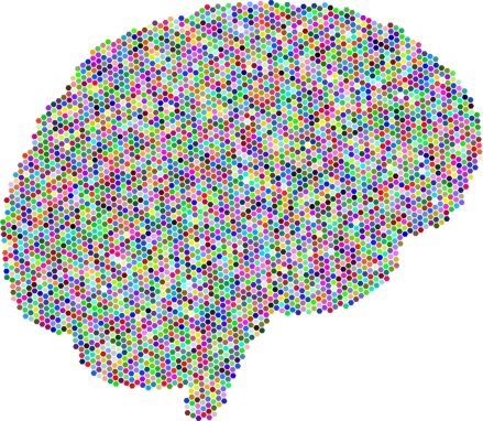 brain-3223582_1280
