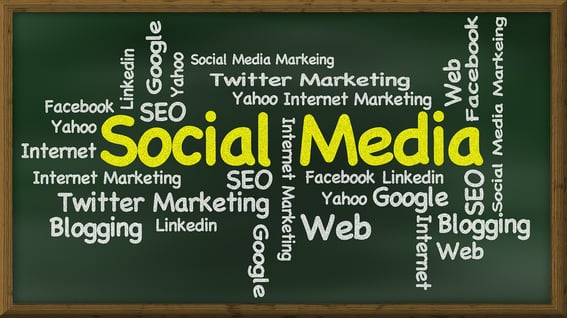 Blogs & social media