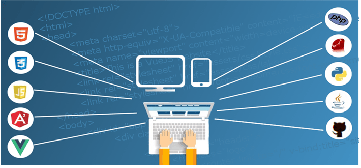 web developer vs web designer