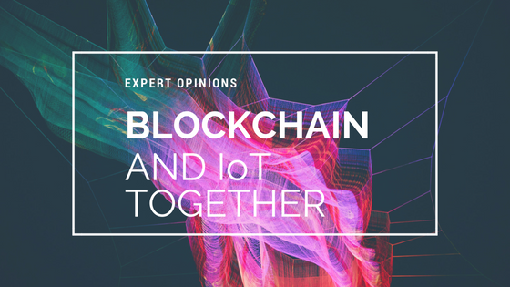 5 Experts on the Amalgamation of Blockchain and Iot