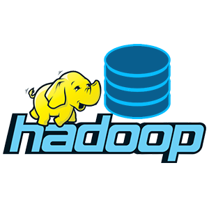 Hadoop Distribution for Big Data Analytics