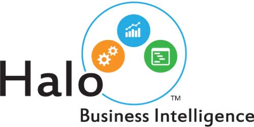 Halo_Business_Intelligence_Logo