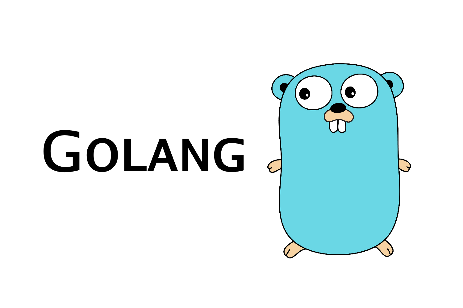 How Golang is thriving in the software industry