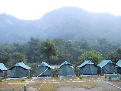 wildex camp
